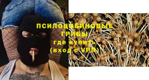ALPHA PVP Алзамай