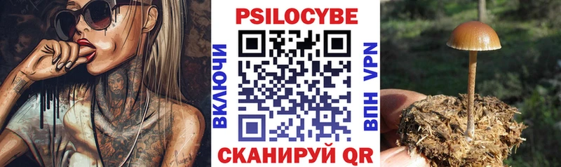shop телеграм  Венёв  Галлюциногенные грибы прущие грибы 